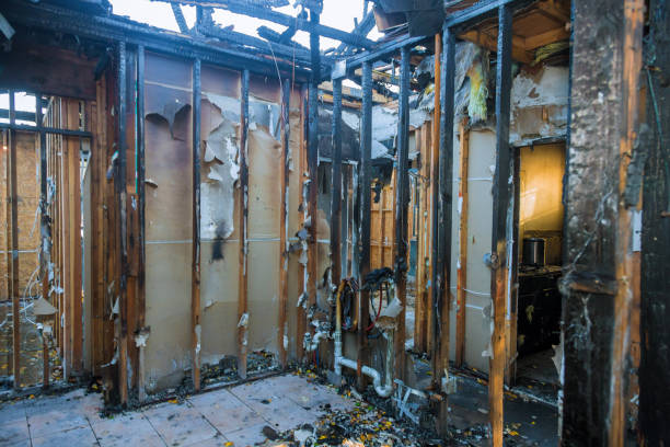 Professional Smoke Damage Removal technician working in Spicewood, TX